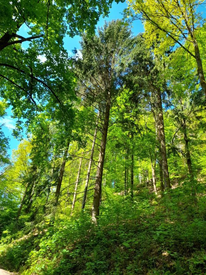 Am Enzufer Mit Balkon In Im Schwarzwald