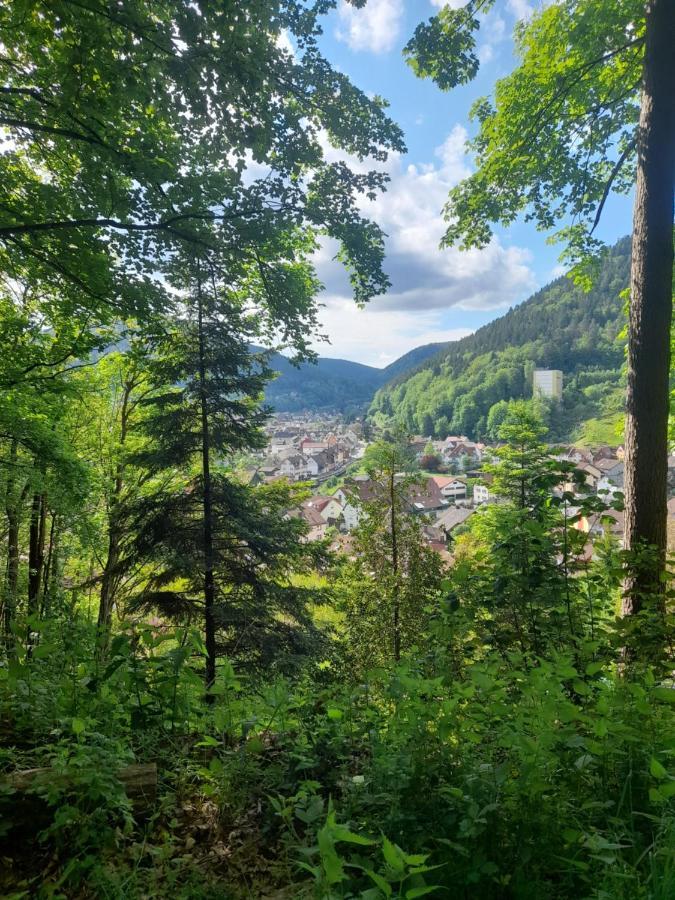 Apartment Am Enzufer Mit Balkon In Im Schwarzwald